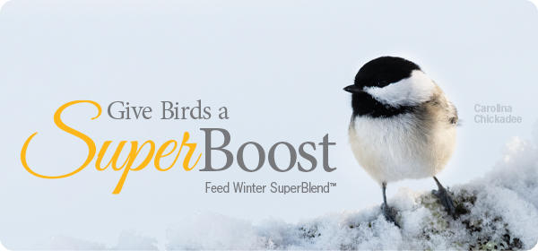 wild birds unlimited bird seed sale